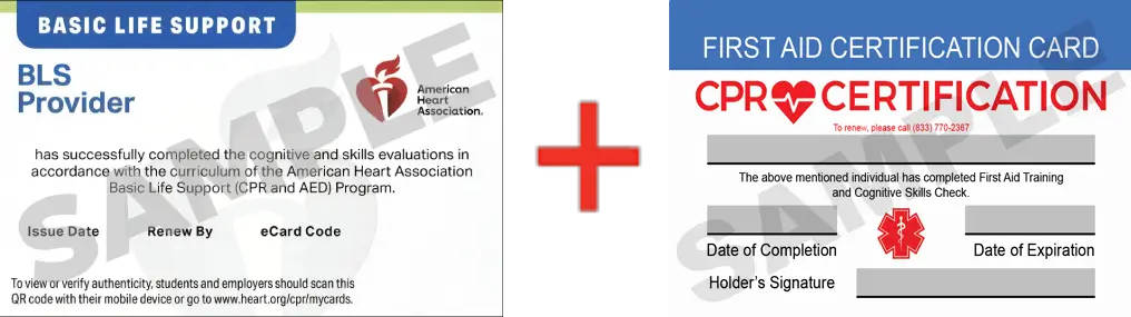 Sample American Heart Association AHA BLS CPR Card Certification and First Aid Certification Card from CPR Certification Oklahoma City