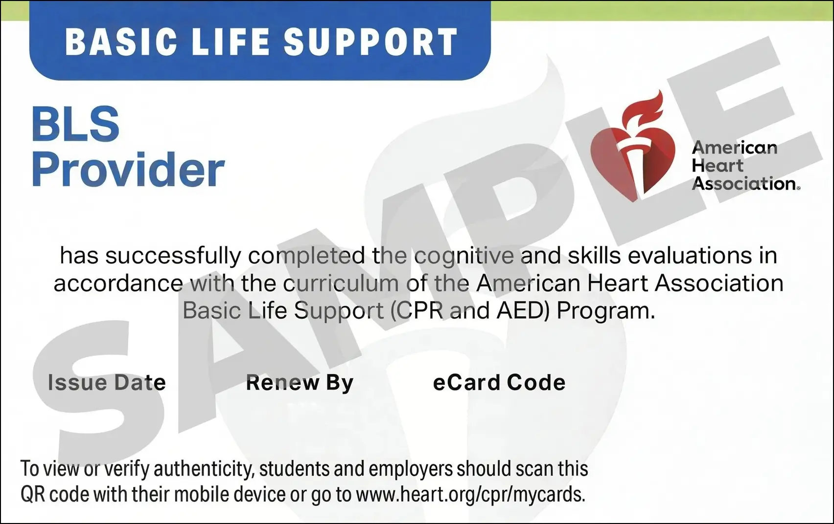 Sample American Heart Association AHA BLS CPR Card Certification from CPR Certification Oklahoma City